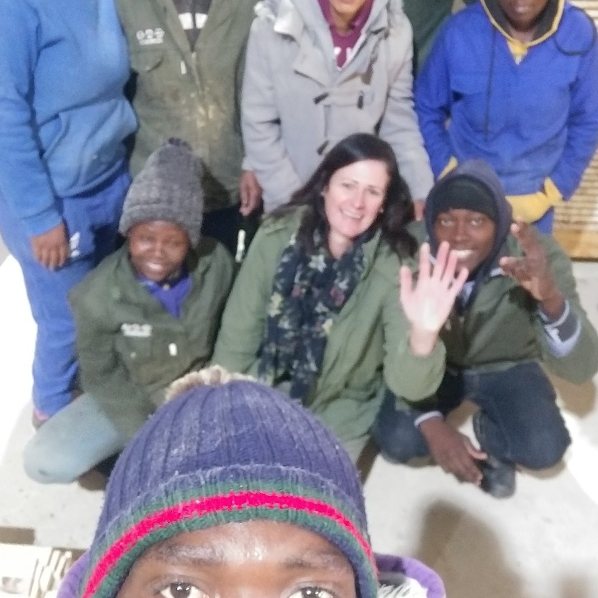 Beehive construction course  – enquire via email