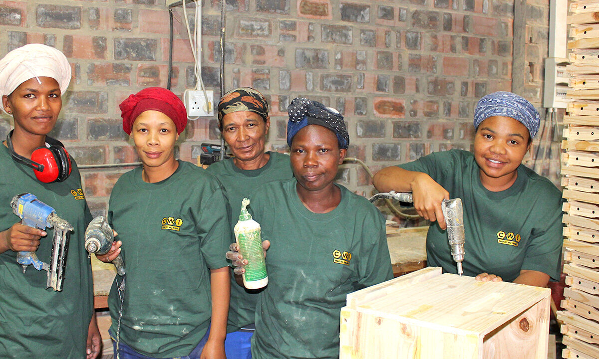 Beehive construction course  - enquire via email - Image 4