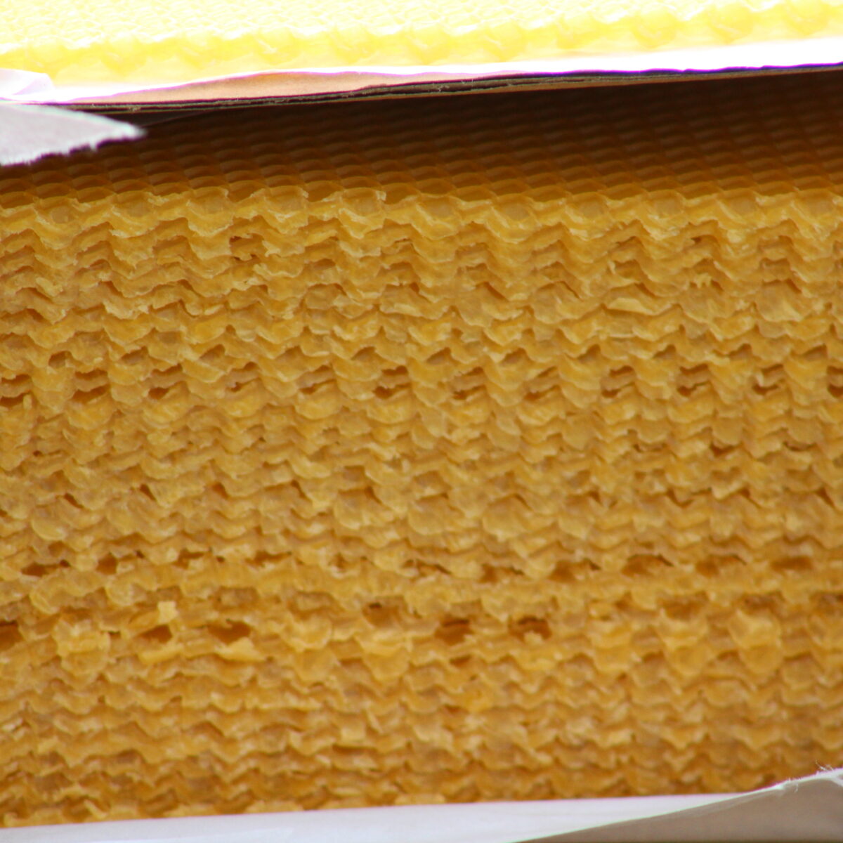 Wax sheets –  Local South African Made (price per sheet)