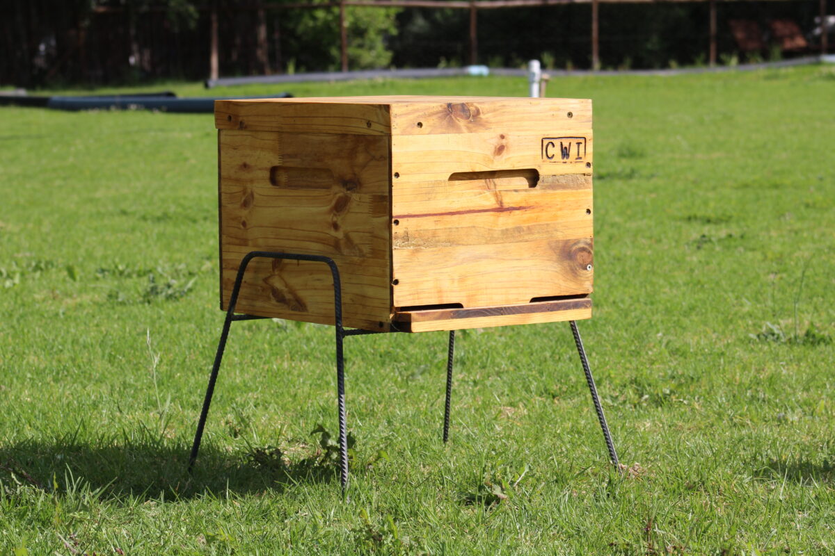 Brood box - Assembled with  wax strips - Image 2