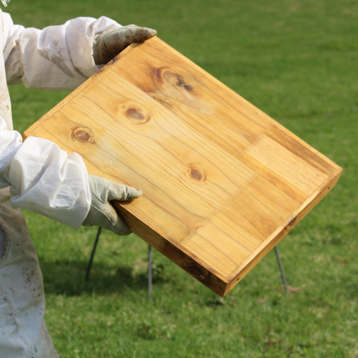 Solid Wood Pine Lid